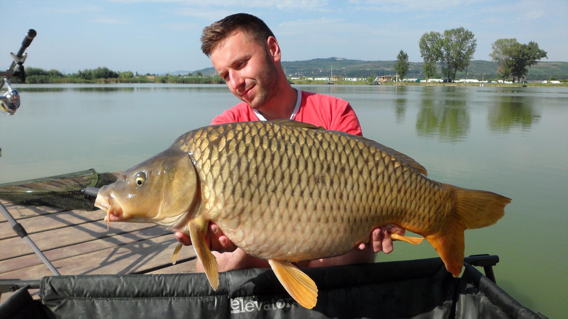 Pleasa1 18 - 20 august 2014 - sam0220.JPG